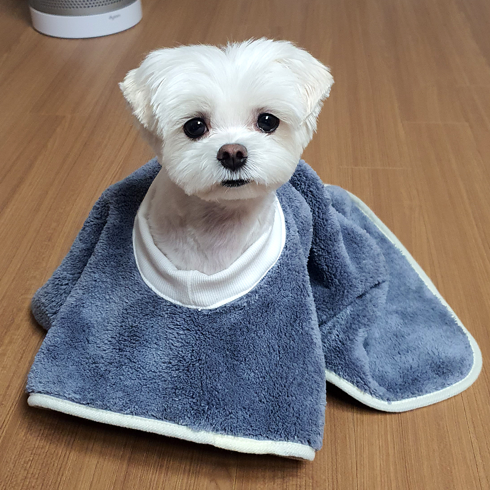 더플래 강아지 고양이 목욕 수건 펫 드레스 타월 S 이미지 6