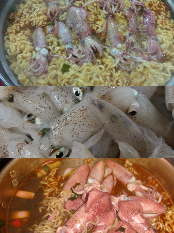 생호래기 꼴뚜기 500g 국산 꼴뚜기 꼬록제철 호레기 - 상세 이미지 5
