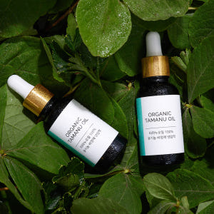 랑팡 유기농 100% 타마누 오일 비정제 냉압착 페이스 오일 국소부위 스... 솔직 후기 | 피부 타입별 분석 - 상품 이미지 3