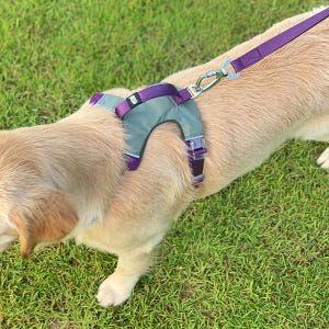 강아지 하네스 대형견하네스 앞섬방지 가슴줄 중형견 H형 진돗개 S 솔직 후기 | 실제 사용자 리뷰 총정리 - 상품 이미지 3