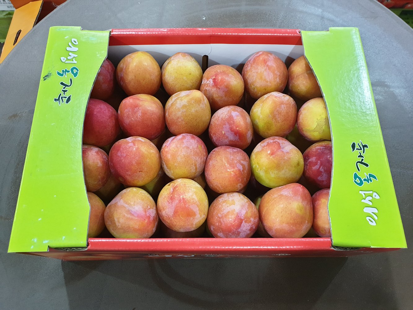 의성옥자두 후무사 도담 추이 추희 자두 1kg 2kg 3kg 5kg 소과 중과 대과 경북 - 상세 이미지 3