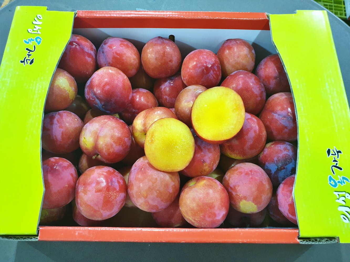 의성옥자두 후무사 도담 추이 추희 자두 1kg 2kg 3kg 5kg 소과 중과 대과 경북 - 상세 이미지 5