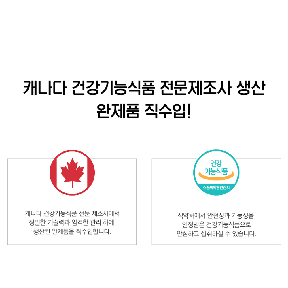 고농축 비타민 b12 수용성 비타민비12 고함량 단일성분 3개월분 이미지 6