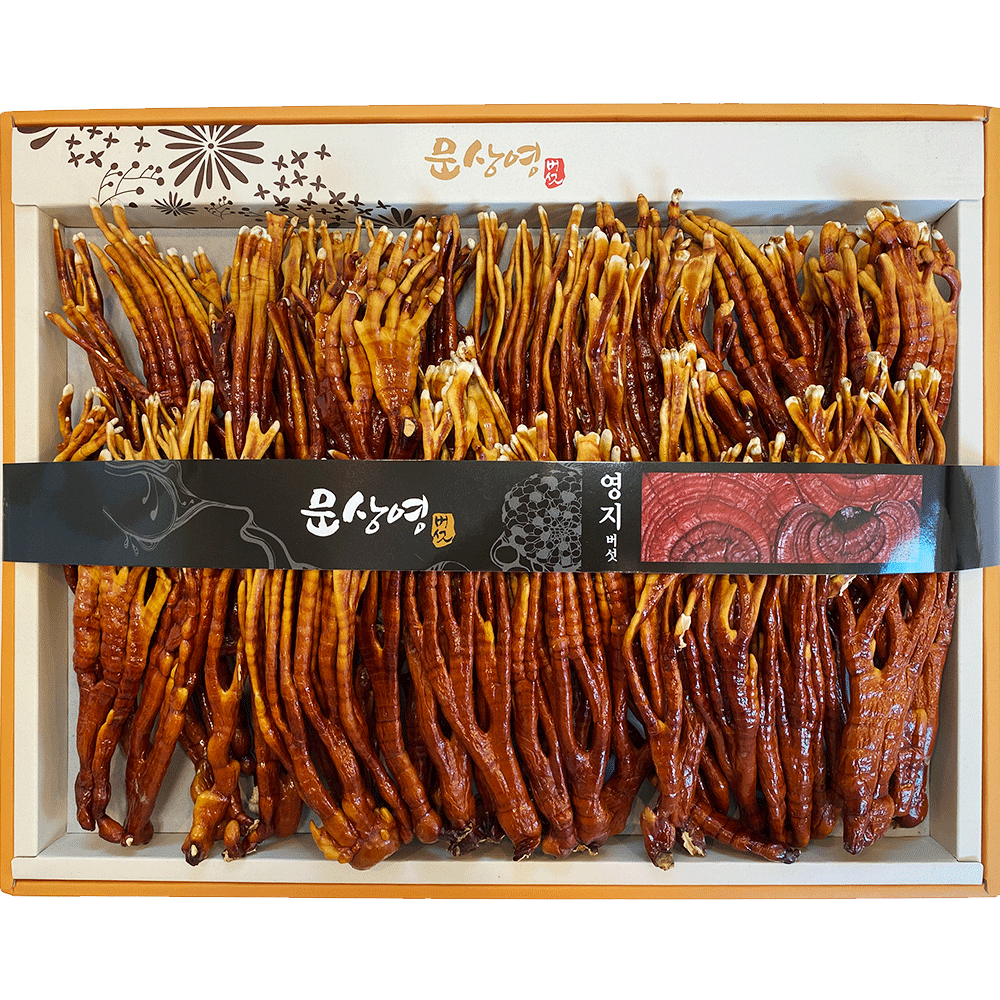 무농약 녹각영지버섯 500g