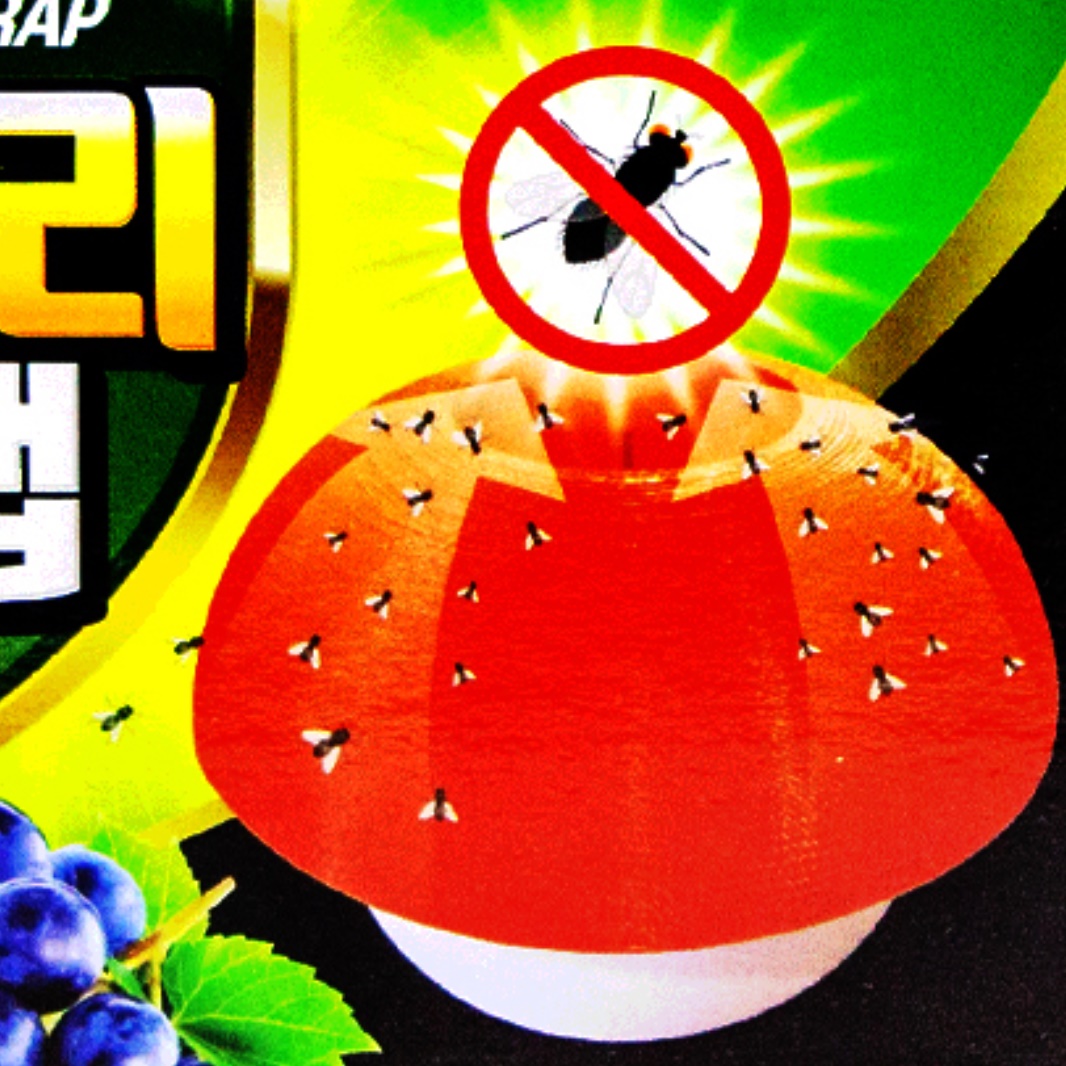 초파리 날파리 퇴치 법 싹 없애는법 퇴치제 하루살이 제거 과일 살충제 제로 키퍼 킬러 - 상품 이미지