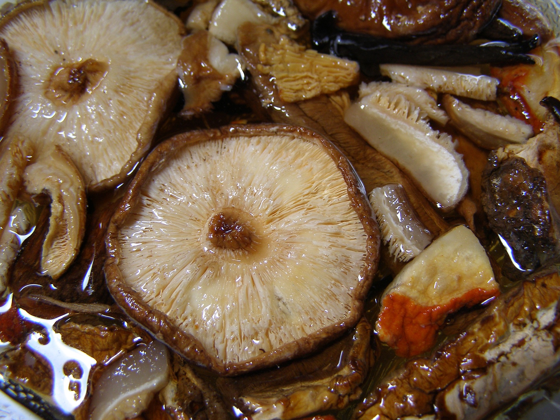 대용량 특A급 건표고버섯 슬라이스 1KgX10개 마른 표고버섯 채 말린 버섯 맛집 식자재 - 상세 이미지 5