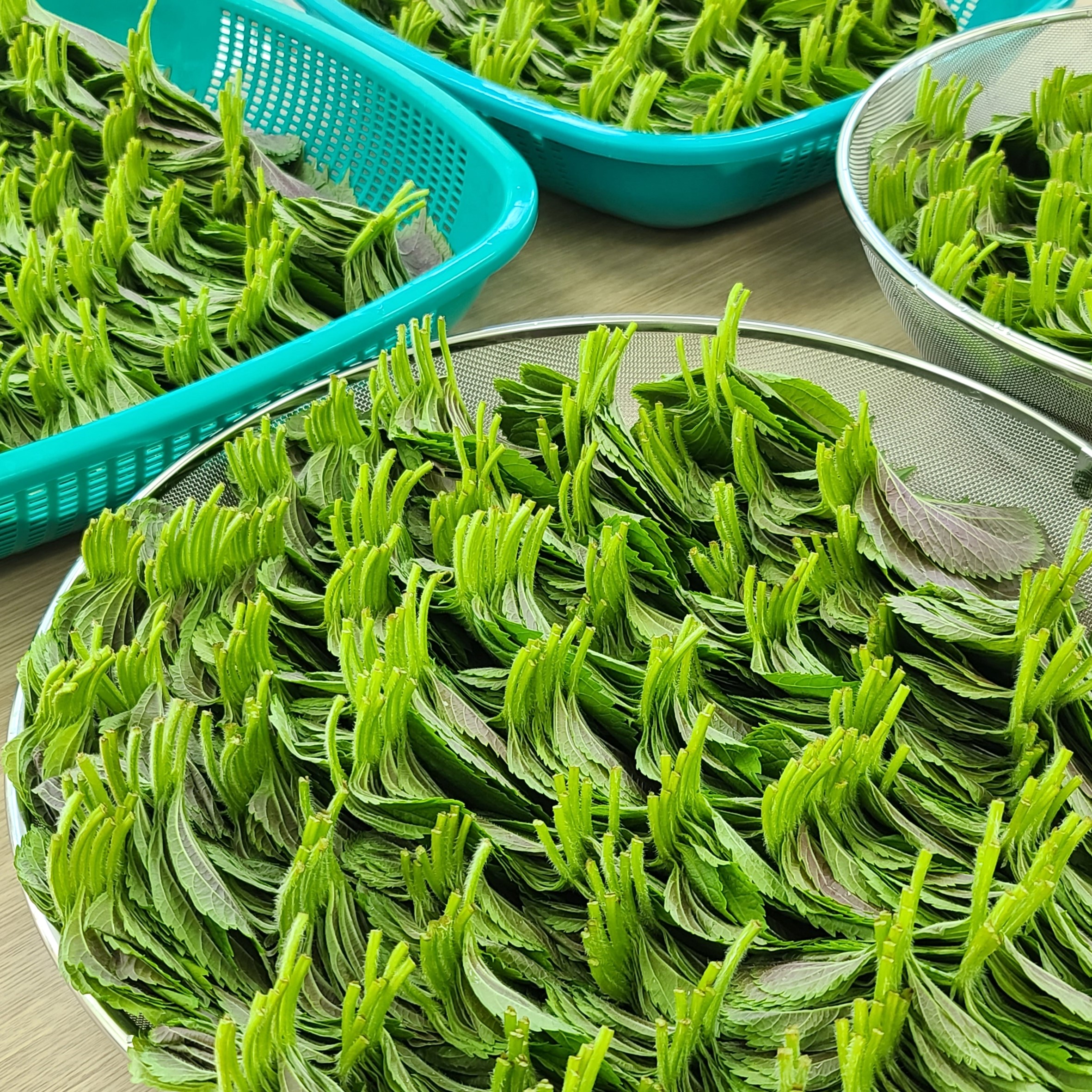 (기절반찬) 기절간장 깻잎 장아찌 국산 반찬 500g - 상세 이미지 5