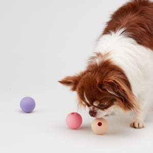 [아아랜드] 미니볼 4cm 강아지 분리불안 노즈워크볼 장난감 솔직 후기 | 실제 사용자 리뷰 총정리 - 상품 이미지 2