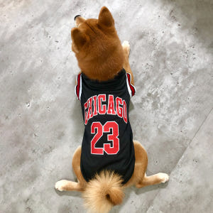 대형견옷 강아지여름옷 농구 나시 실내복 잠옷 중형견옷 레드 솔직 후기 | 실제 사용자 리뷰 총정리 - 상품 이미지 3