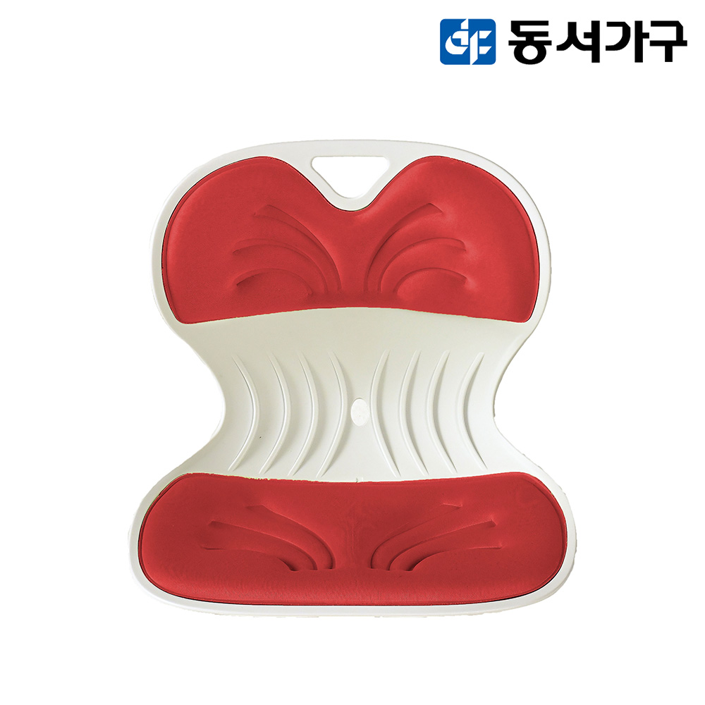 동서가구 테스 바른체어 인체공학 자세교정 의자 DF919832