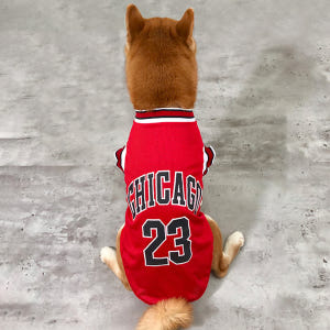 대형견옷 강아지여름옷 농구 나시 실내복 잠옷 중형견옷 레드 솔직 후기 | 실제 사용자 리뷰 총정리 - 상품 이미지 2