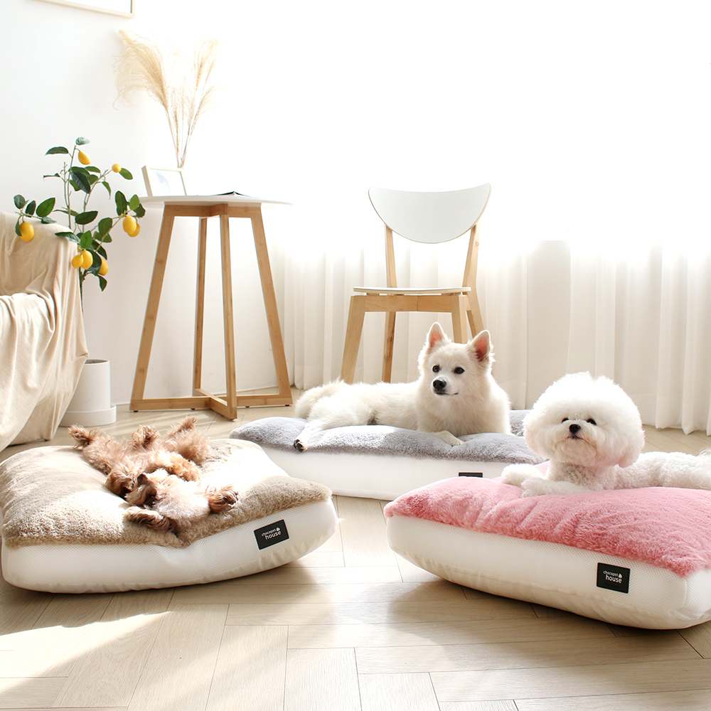초코펫하우스 겨울 강아지방석 스노우 모찌 방석 중형