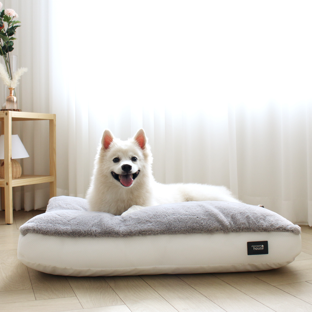 초코펫하우스 겨울 강아지방석 스노우 모찌 방석 중형