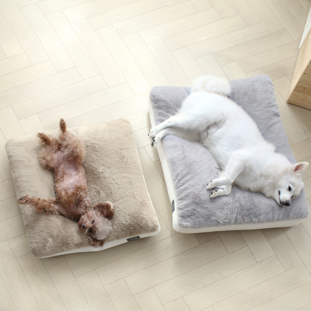 초코펫하우스 겨울 강아지방석 스노우 모찌 방석 중형