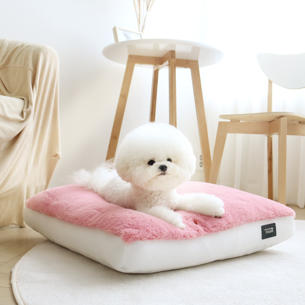 초코펫하우스 겨울 강아지방석 스노우 모찌 방석 중형