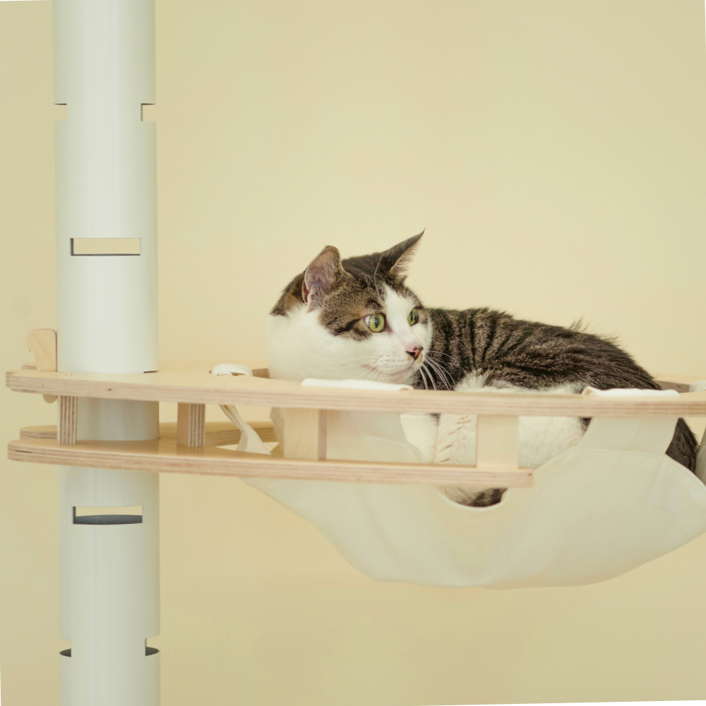 캣돌 파스텔 스틸 원목 캣폴 캣타워 A세트