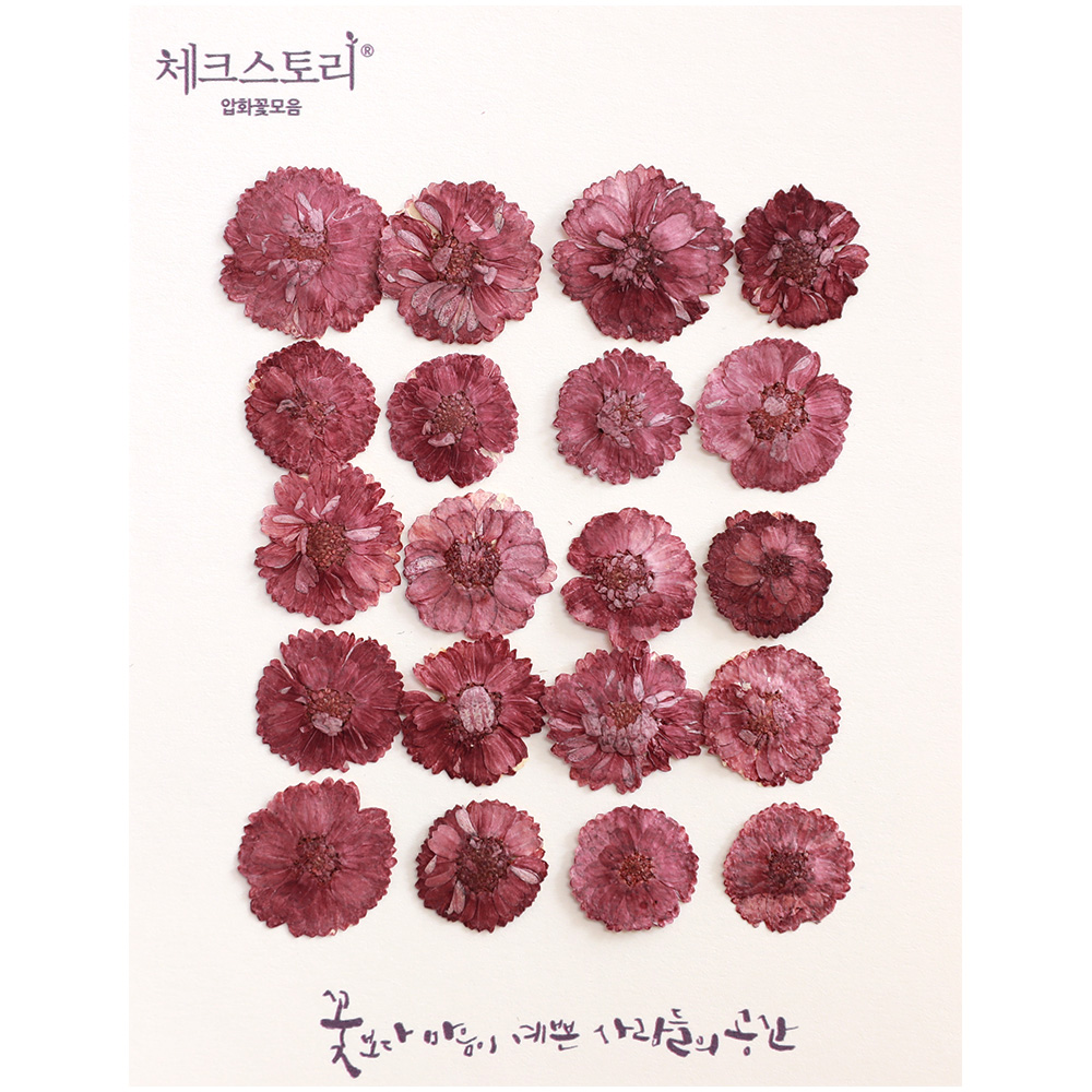 [압화/꽃송이] 감국 - 팥죽(20개)(염색) - 상품 이미지