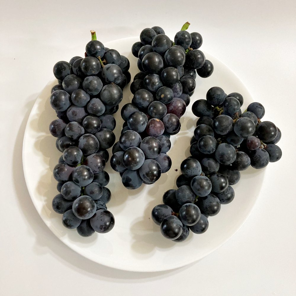영동 겨울포도 세레단 세르단 켐벨포도 1kg 2kg 3kg - 상세 이미지 2