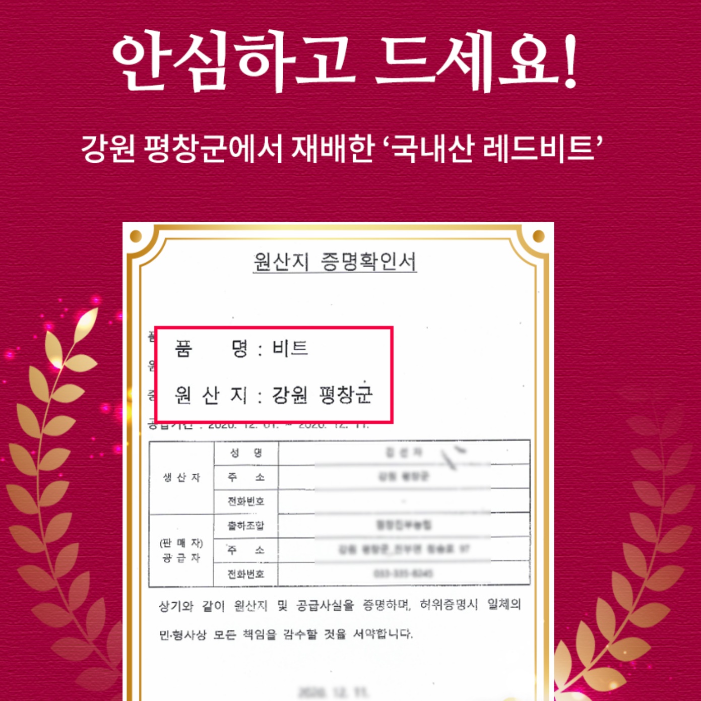 국내산 레드 비트 분말 500g 파우더 가루 주스 차 국산 - 상세 이미지 5