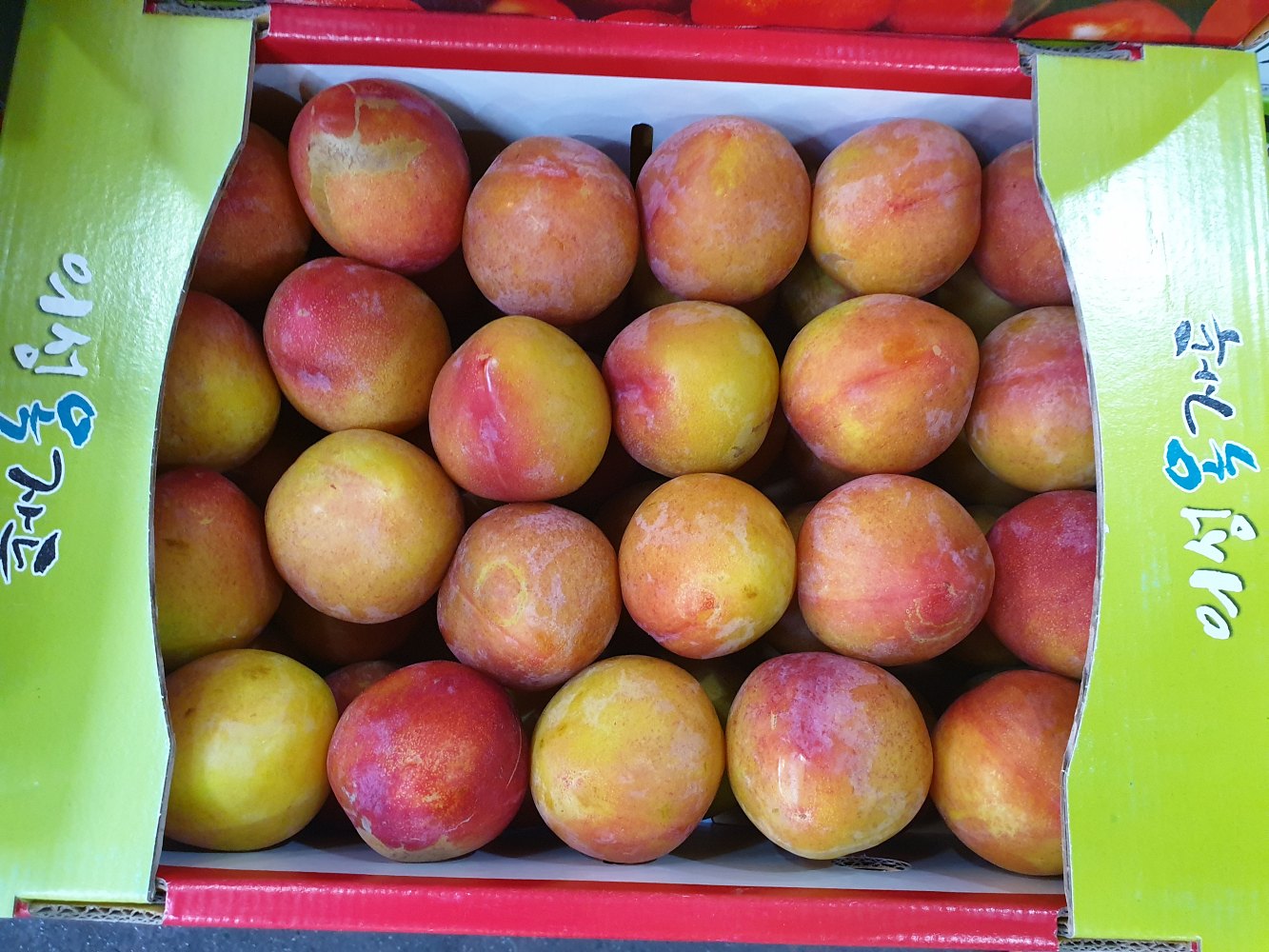 저탄소 후무사 도담 추희 고당도 자두 1kg 2kg 3kg 4kg 5kg 특품 영천 군위 - 상세 이미지 3