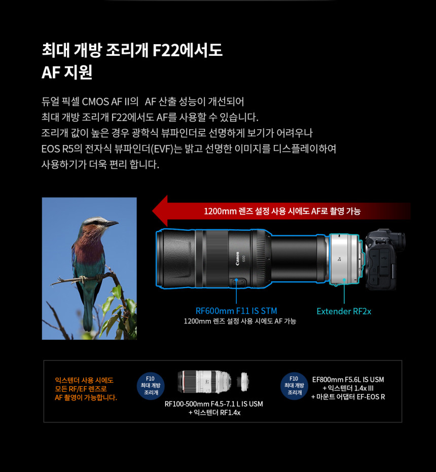 캐논 R5+RF100500 콘서트 팬사인회 팬싸 대여 상세 정보 62
