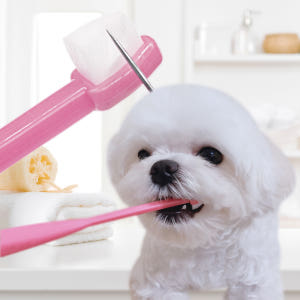 세모칫솔 솔직 후기 | 실제 사용자 리뷰 총정리 - 상품 이미지 3