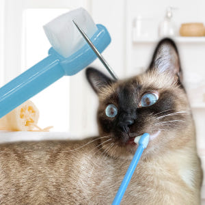 세모칫솔 솔직 후기 | 실제 사용자 리뷰 총정리 - 상품 이미지 2