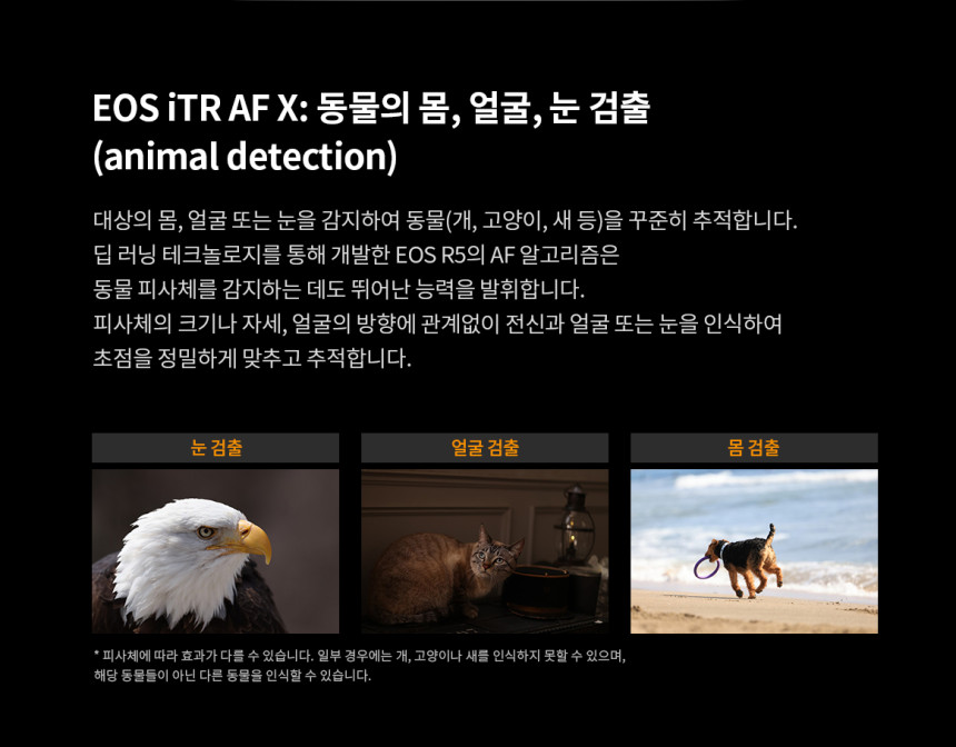 캐논 R5+RF100500 콘서트 팬사인회 팬싸 대여 상세 정보 56