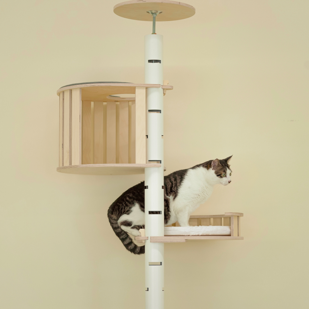 캣돌 파스텔 스틸 원목 캣폴 캣타워 C세트