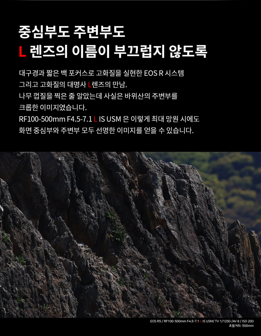 CANON 캐논 RF100-500mm F4.5-7.1 L IS(백오백) 팬싸,팬미팅 대포렌즈 대여 상세 정보 5