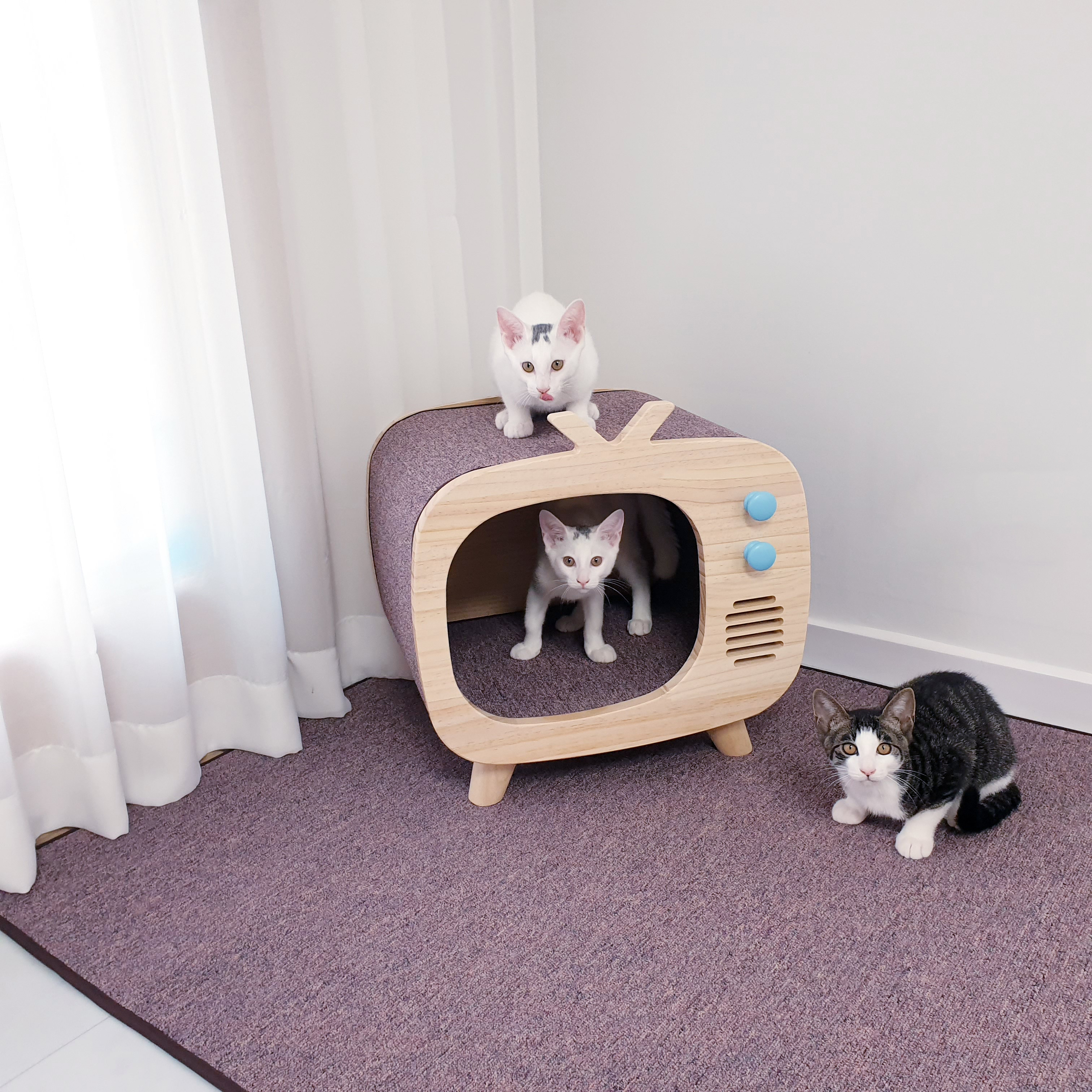 가르르 원목 고양이집 숨숨집 강아지집  중형