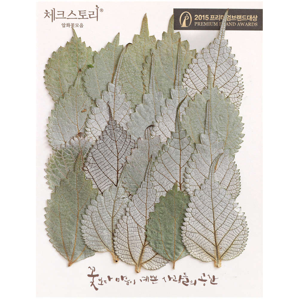 [압화/줄기잎]모시잎(20개)(자연) - 상품 이미지