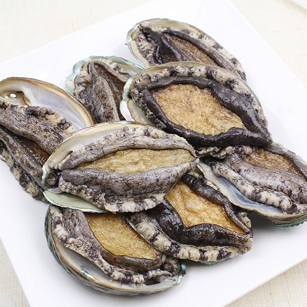하나수산 완도 활전복1kg(10~11미) : 피쉬세일