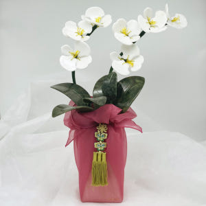 아토제이드 [스페셜에디션]천연 옥꽃 오키드 모던 화이트 / 옥화분 승진선... 실사용 후기 | 효과 있을까? - 상품 이미지 1