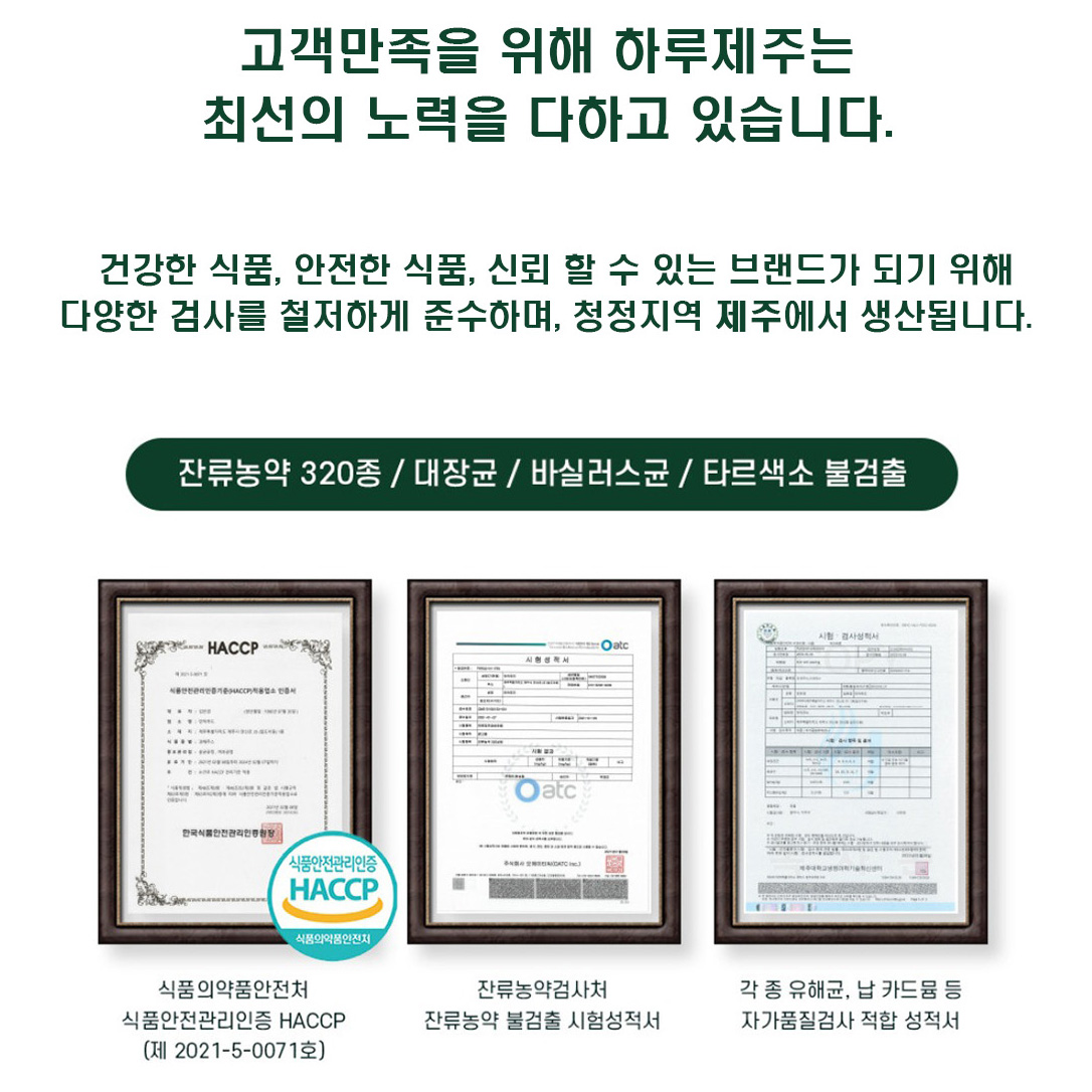 프리미엄 제주 양배추즙 양배추 과채 주스 생양배추즙 30포 : 강원식탁
