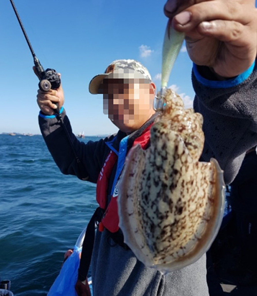 NS블랙홀 허리케인X 커틀피쉬 TT 갑오징어 쭈꾸미 선상낚시대 쭈갑로드 B-145/2 (티타늄팁), 1.45m 이미지 6