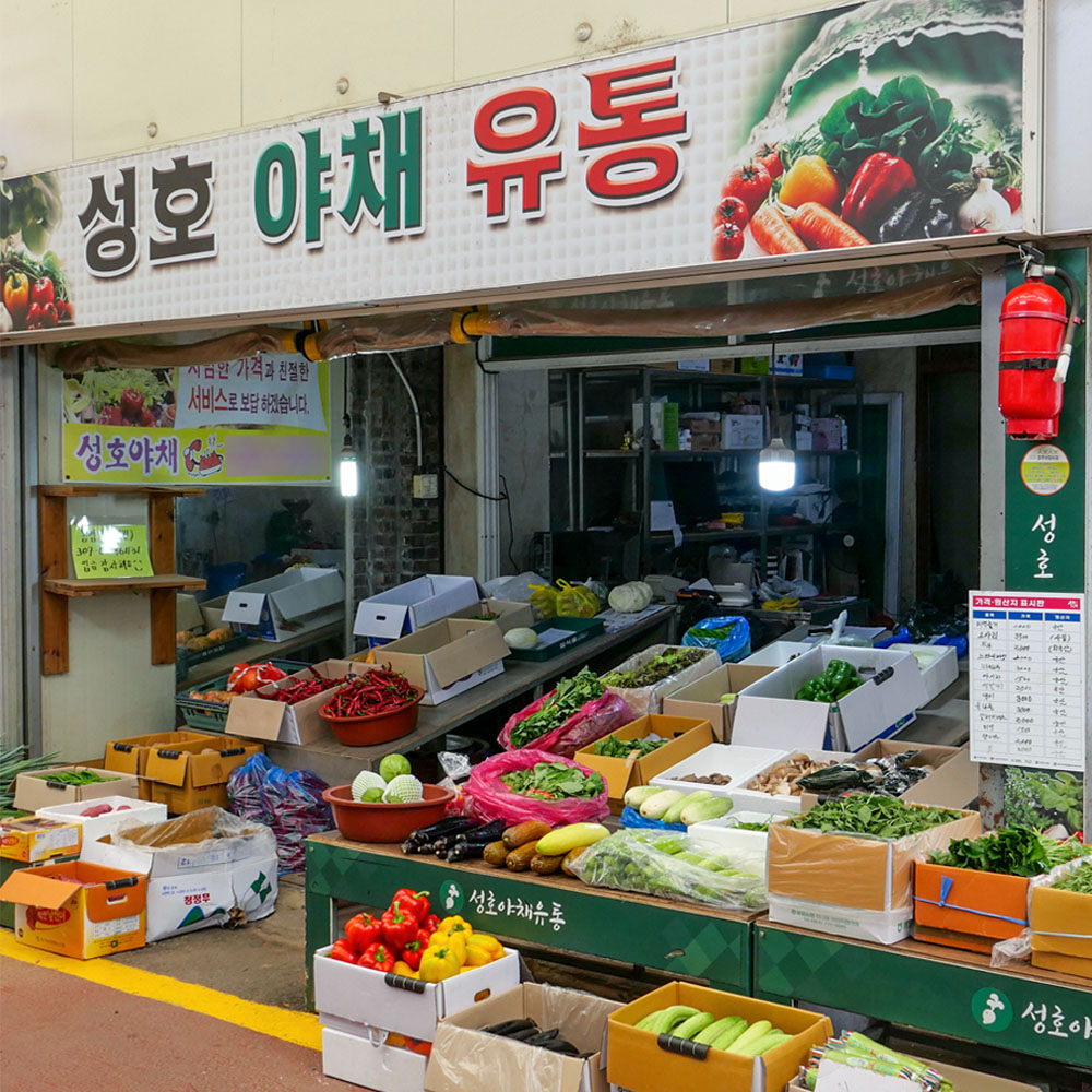 [청주시 배달] 푸릇푸릇 양상추 1개 [사창 성호야채] : 동네시장 장보기