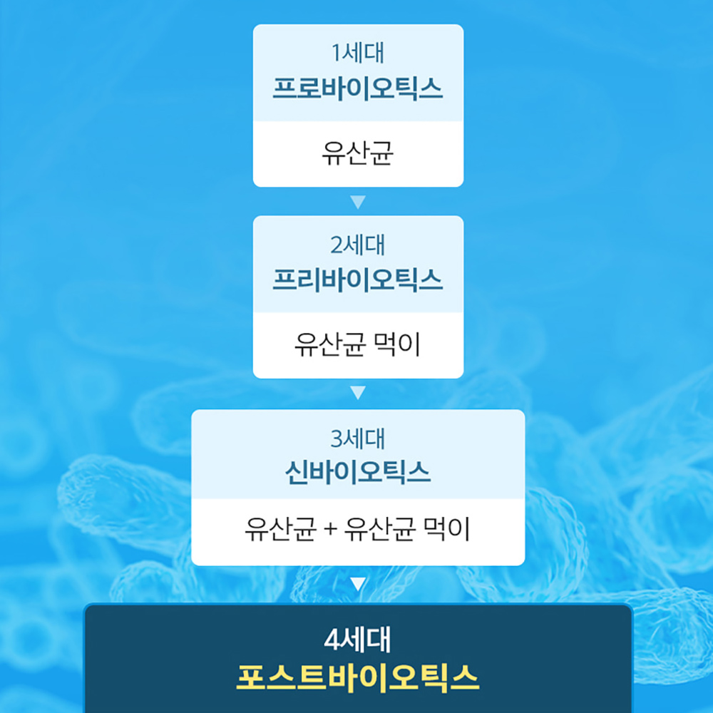 프로바이오틱스 특허 김치 유산균 예민한 장 좋은 영양제 캡슐 약2개월 신바이오틱스 장용성 이미지 6