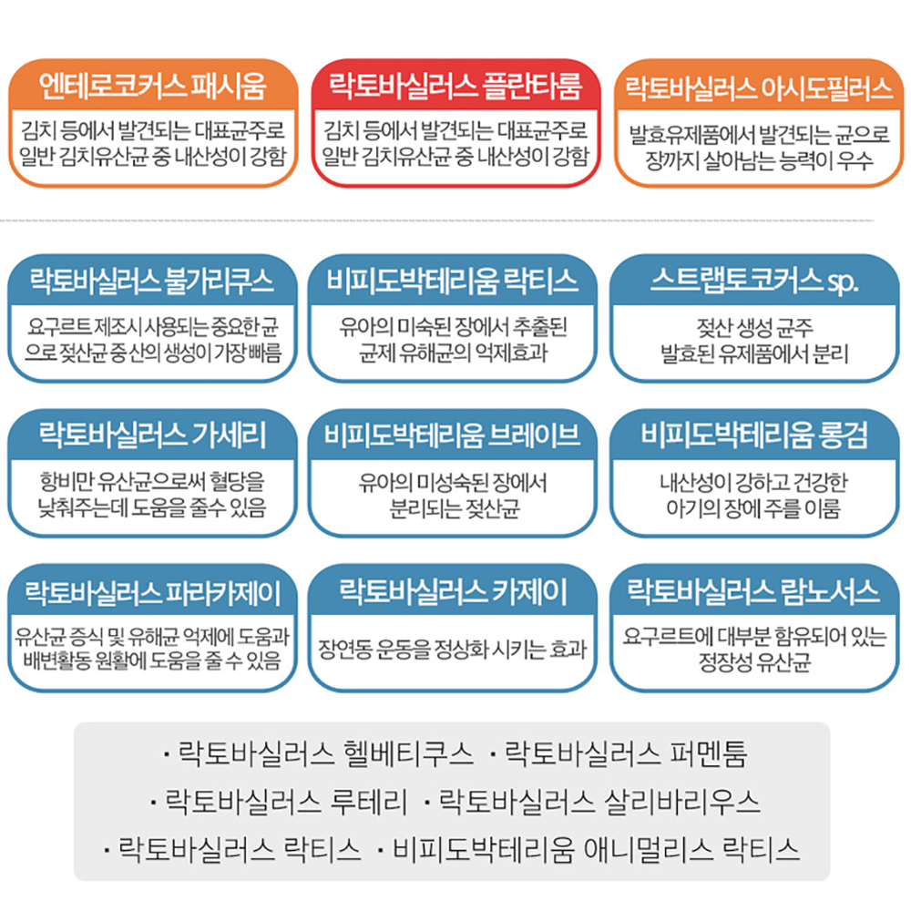 프로바이오틱스 특허 김치 유산균 예민한 장 좋은 영양제 캡슐 약2개월 신바이오틱스 장용성 - 상세 이미지 2