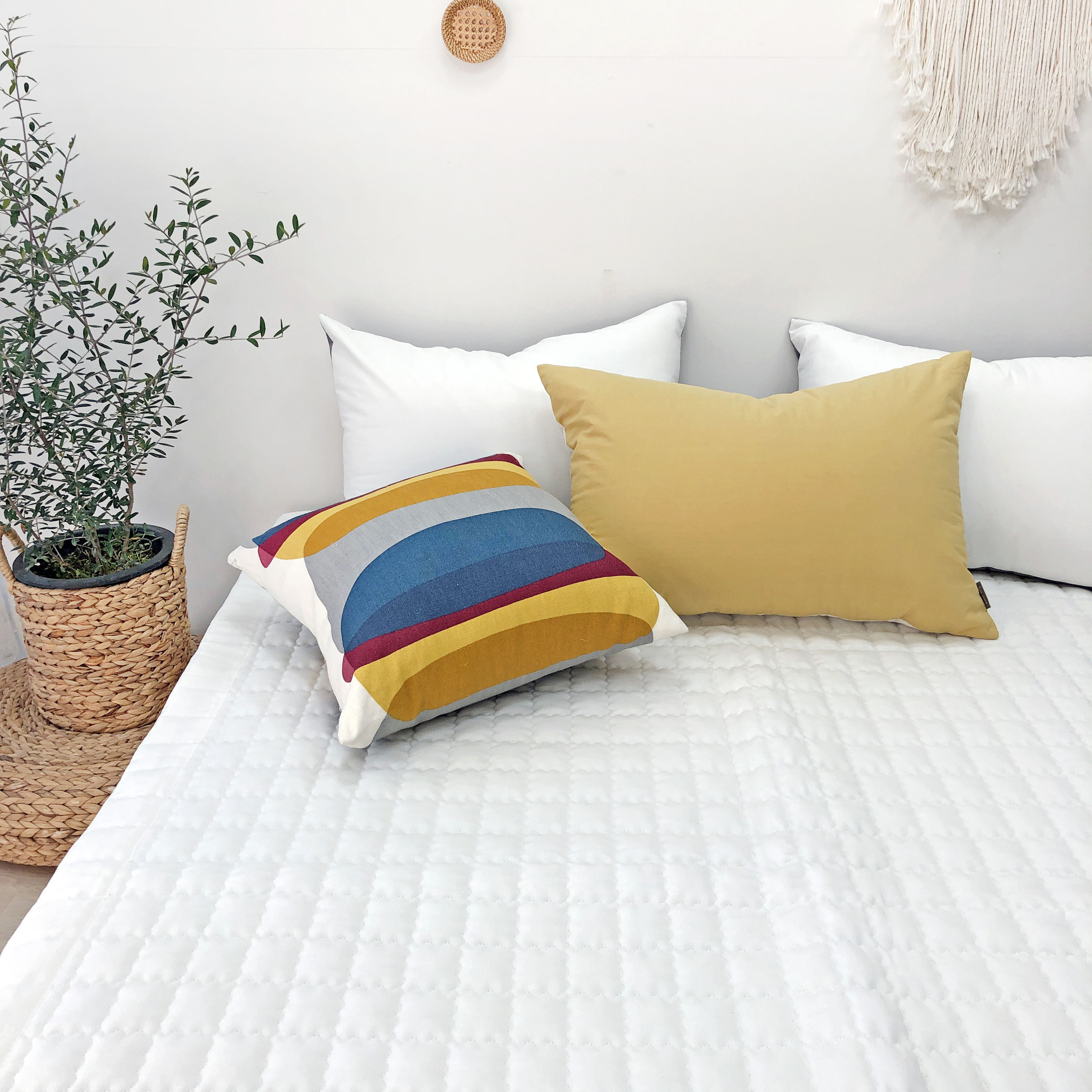 사각사각 바이오워싱 고밀도 순면 미끄럼방지 침대 패드 SS