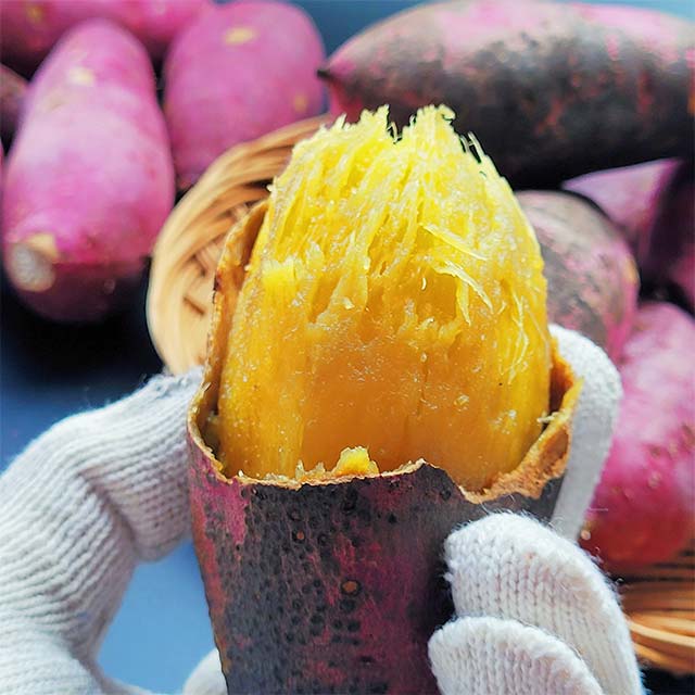 해남 꿀고구마 꿀밤 햇고구마 세척 무농약 황토 고구마