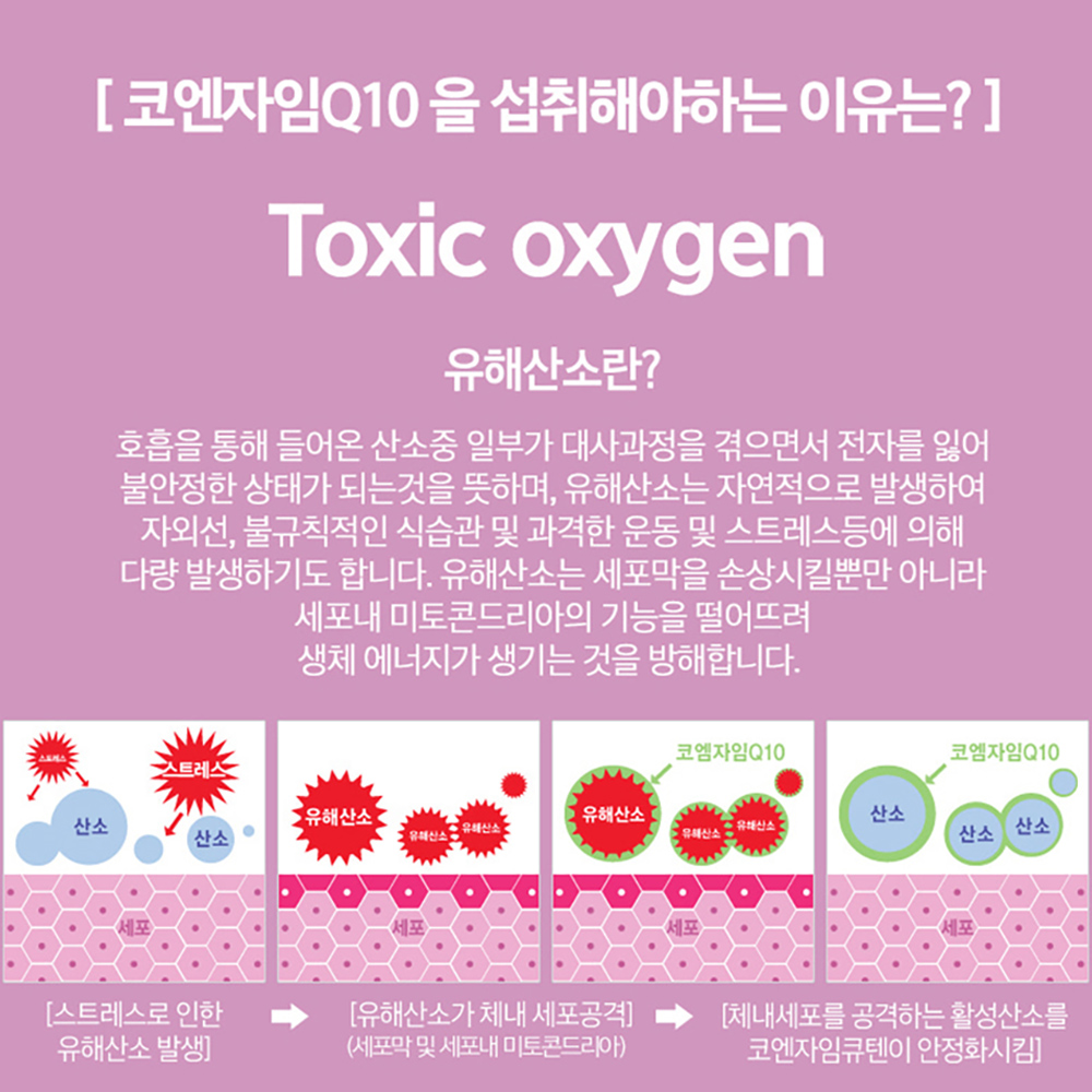 코엔자임 Q10 큐텐 코큐텐 포뮬러 COQ10 코큐10 큐10 캐나다 건강기능식품 2개월 이미지 7