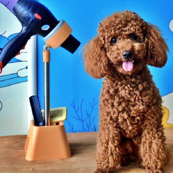 강아지용 드라이기 거치대 고양이 털 건조기 펫 드라이어 스탠드