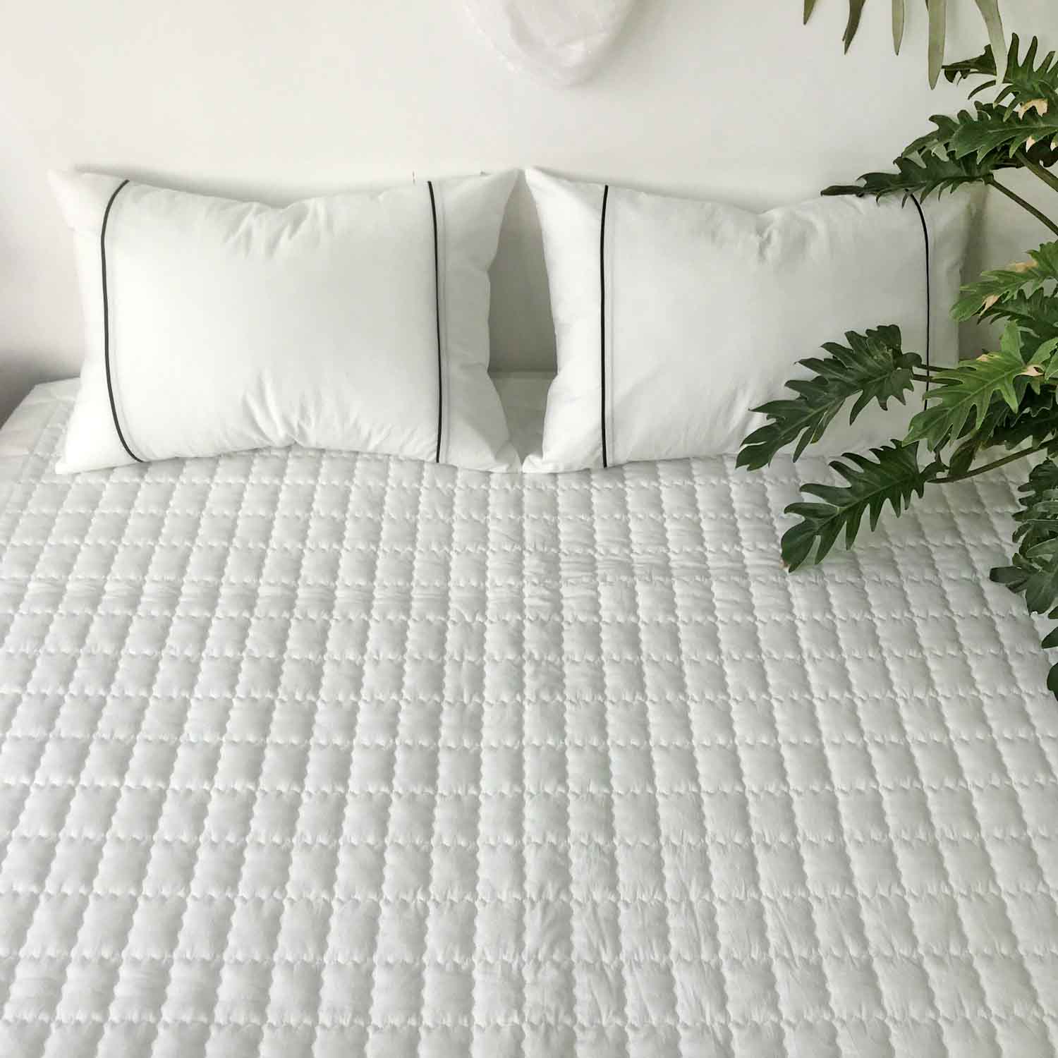 사각사각 바이오워싱 고밀도 순면 미끄럼방지 침대 패드 SS