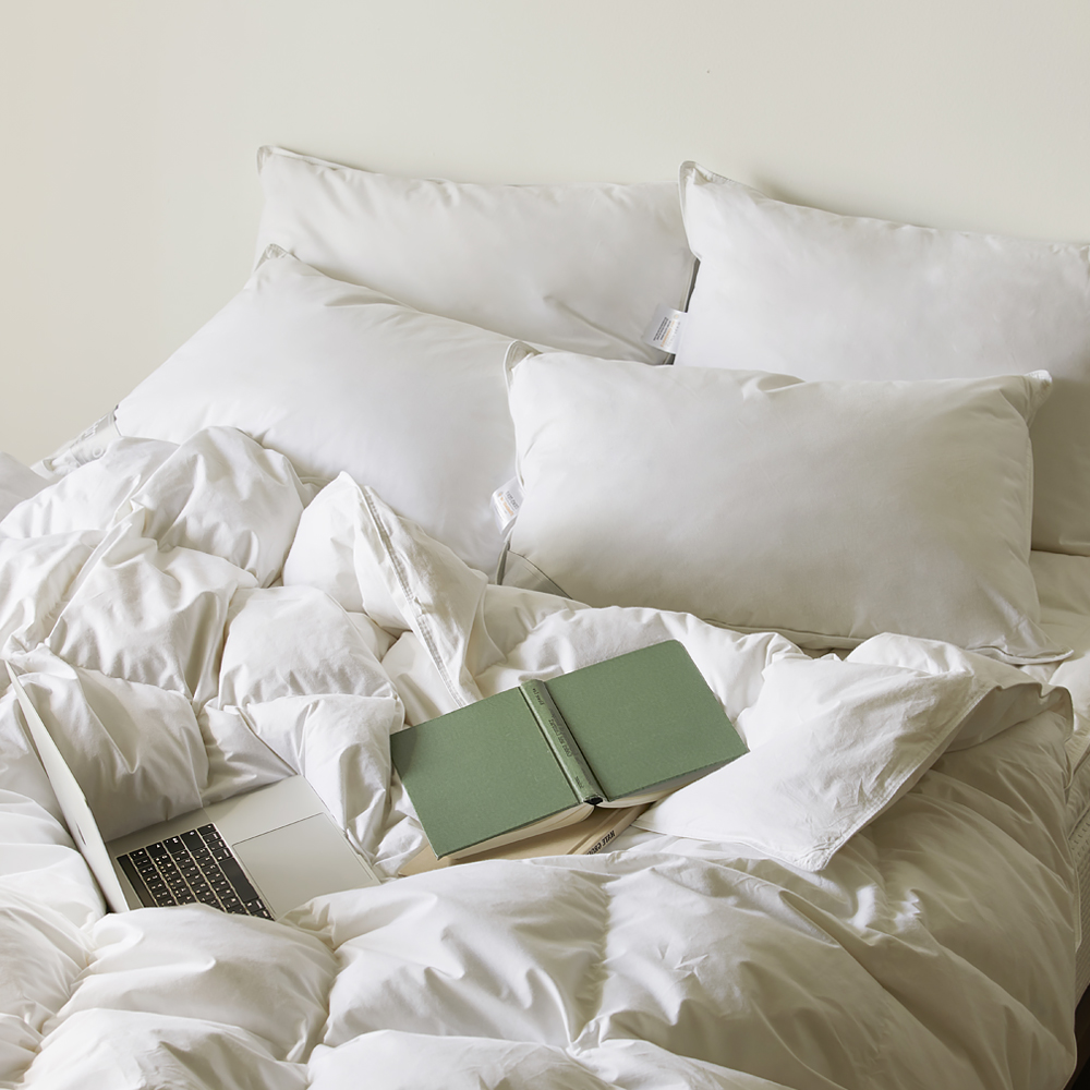 스탠다드 구스 호텔베개 50x70cm 1100g