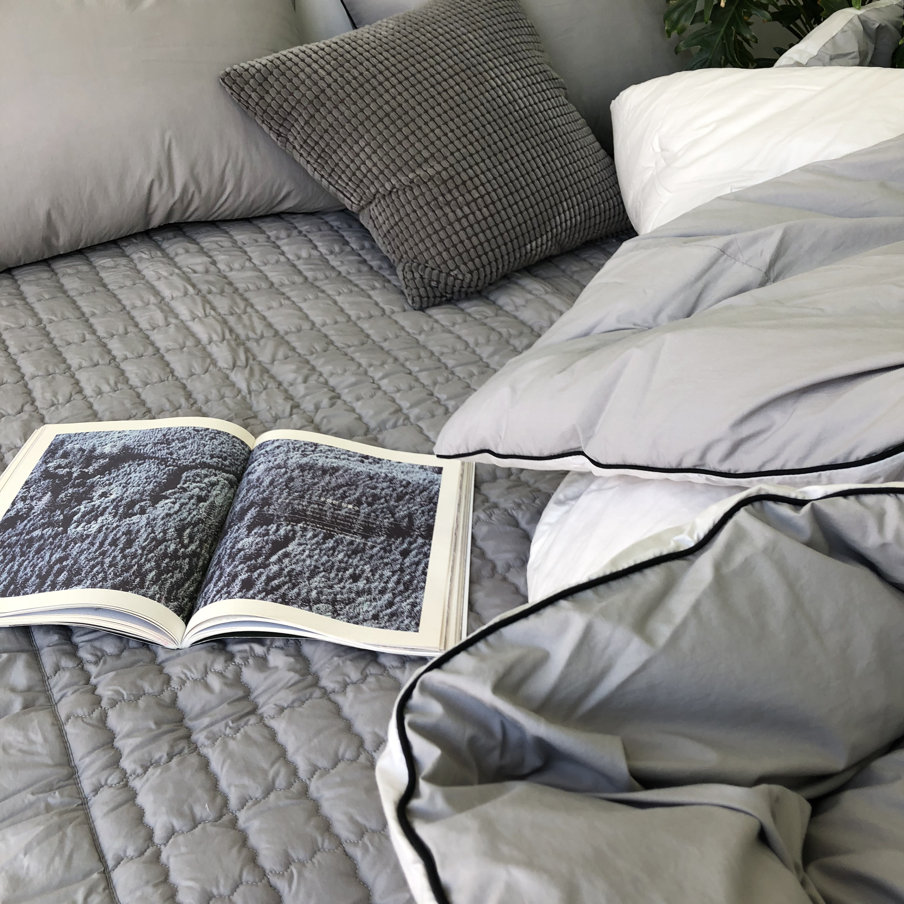 사각사각 바이오워싱 고밀도 순면 미끄럼방지 침대 패드 SS