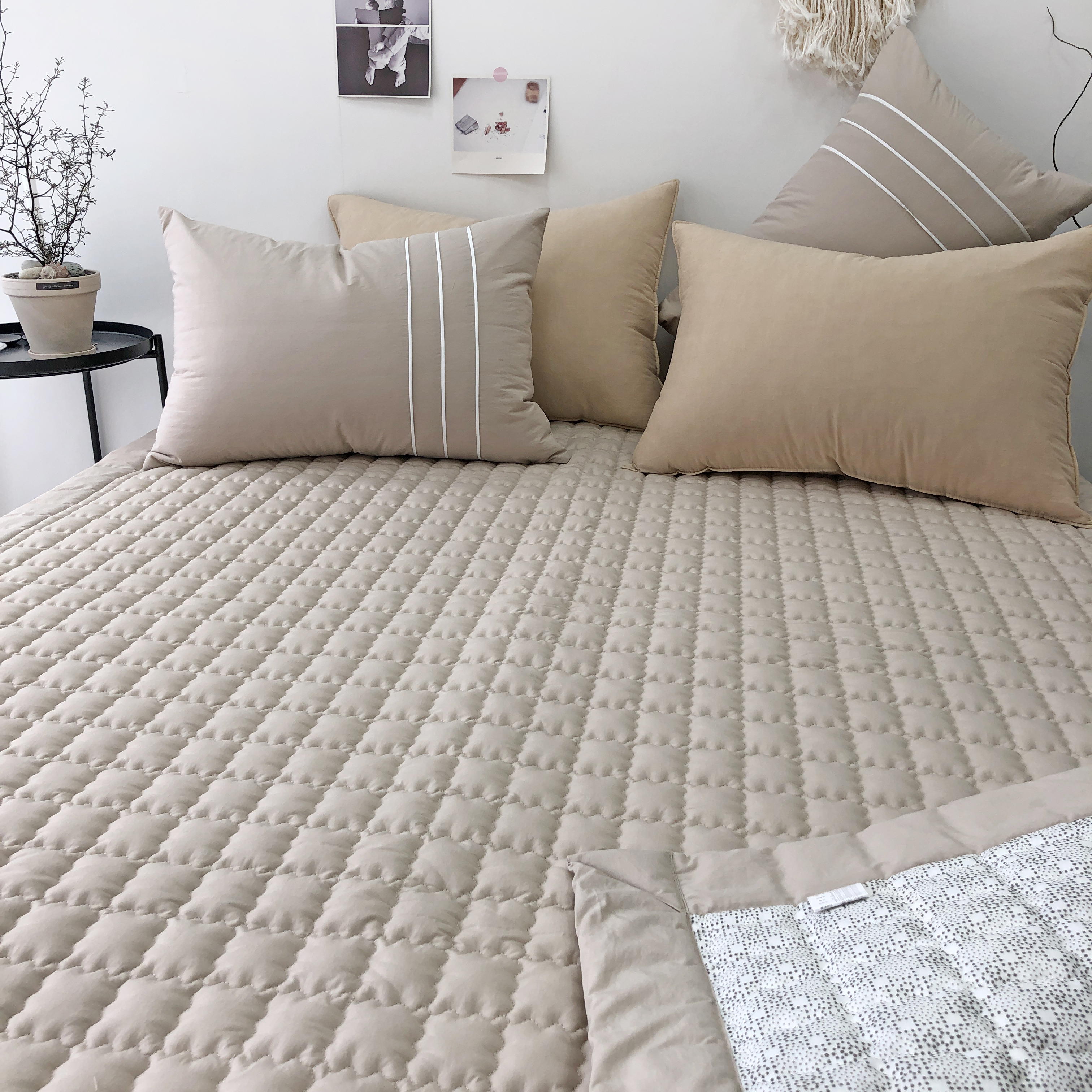 사각사각 바이오워싱 고밀도 순면 미끄럼방지 침대 패드 SS