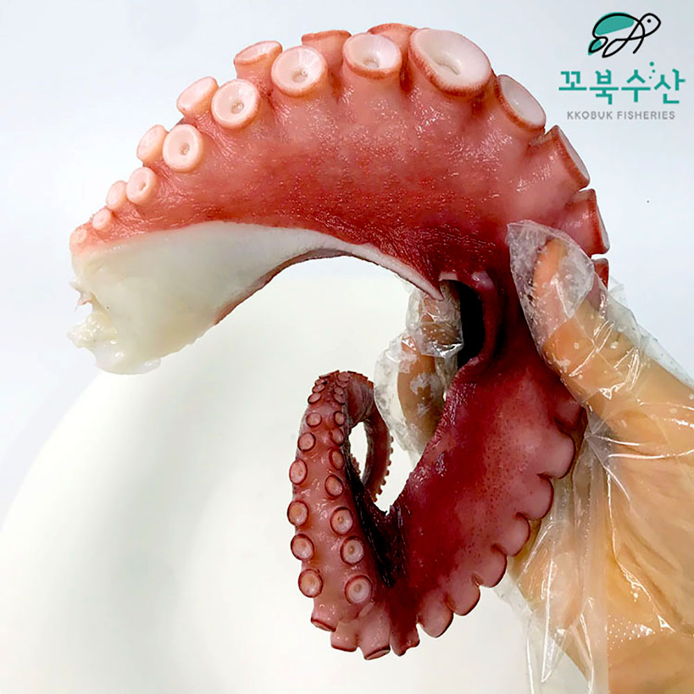 자숙 문어다리 300g 냉동 삶은 문어숙회 국내산 필리핀 이미지 6