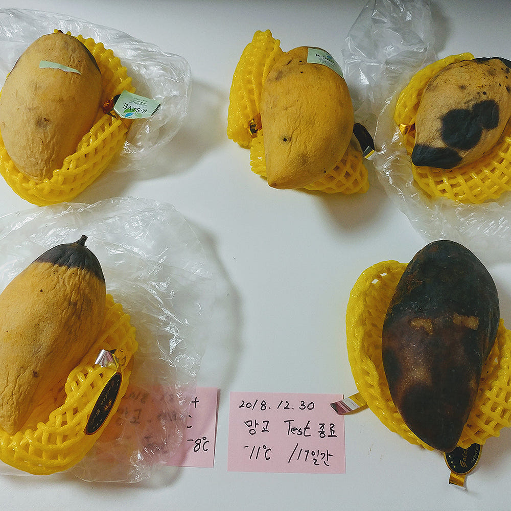 비교 데이터 2