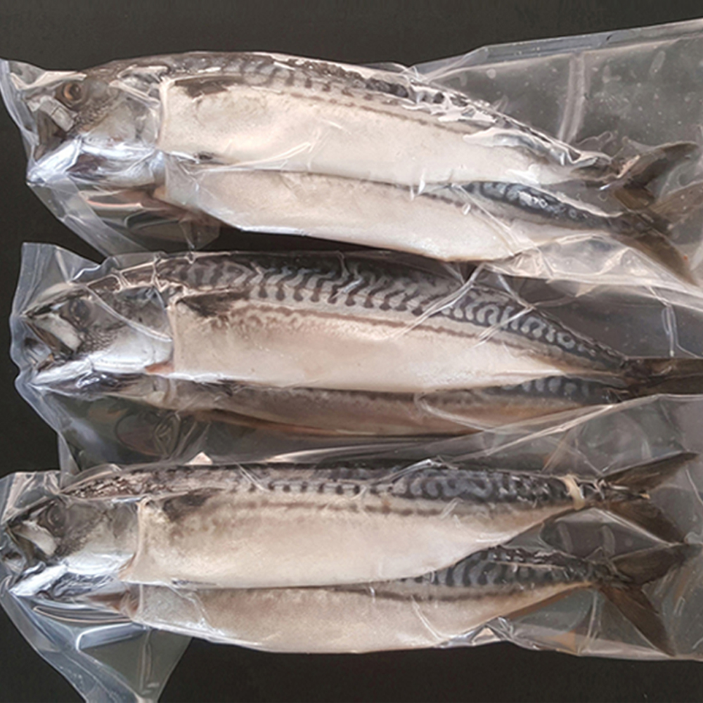 노르웨이 고등어 진공필렛 130-160g 10팩 손질생선 구이용생선 - 상세 이미지 3
